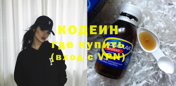 прущие грибы Михайлов