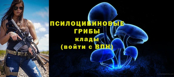 хмурый Абинск